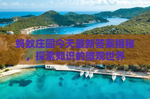 蚂蚁庄园今天最新答案揭秘，探索知识的微观世界