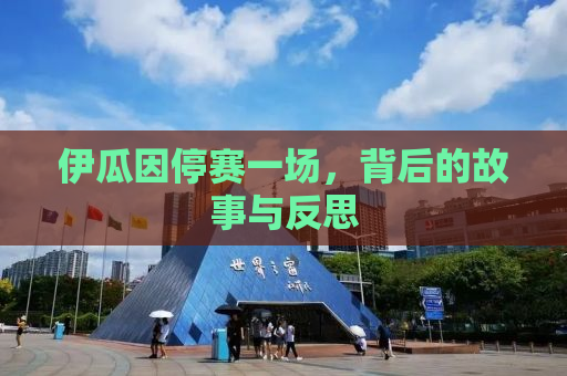 伊瓜因停赛一场，背后的故事与反思