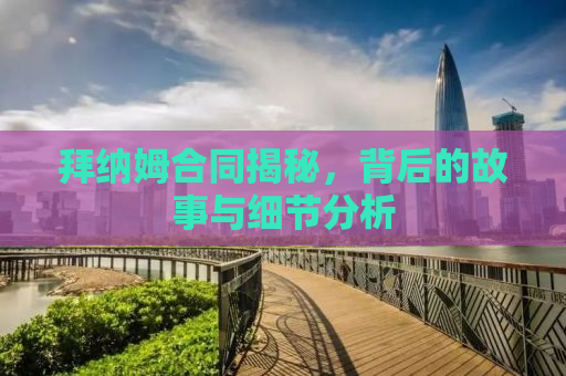 拜纳姆合同揭秘，背后的故事与细节分析