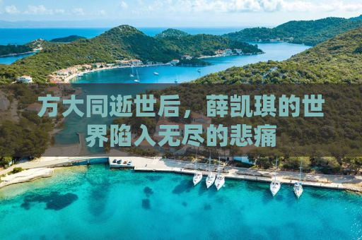 方大同逝世后，薛凯琪的世界陷入无尽的悲痛