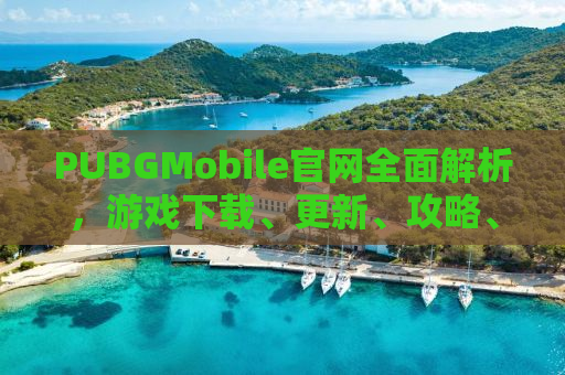 PUBGMobile官网全面解析，游戏下载、更新、攻略、新闻及社区交流一站式体验