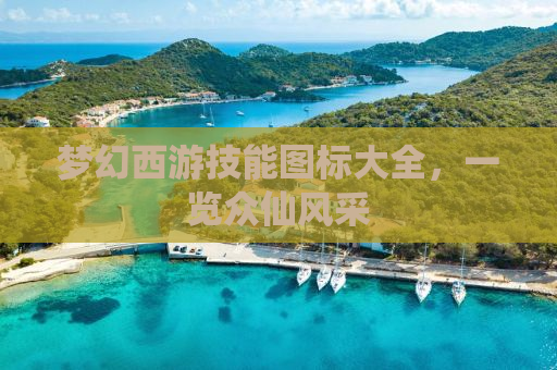 梦幻西游技能图标大全，一览众仙风采
