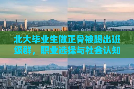 北大毕业生做正骨被踢出班级群，职业选择与社会认知的碰撞
