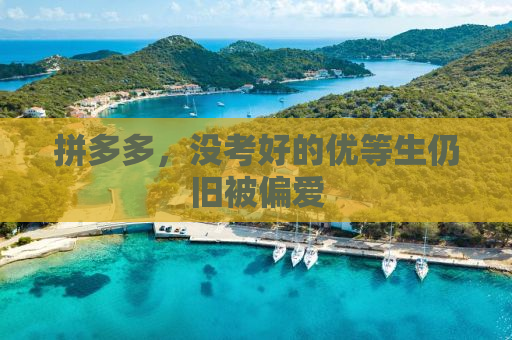拼多多，没考好的优等生仍旧被偏爱