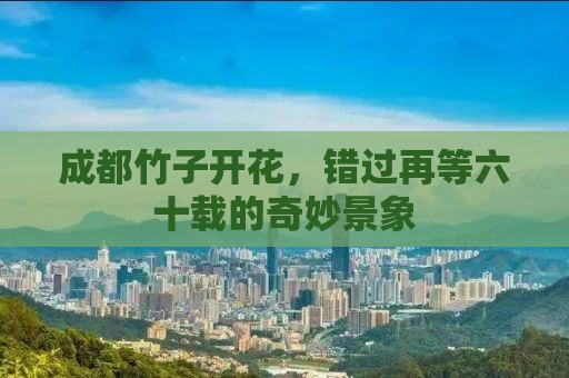 成都竹子开花，错过再等六十载的奇妙景象