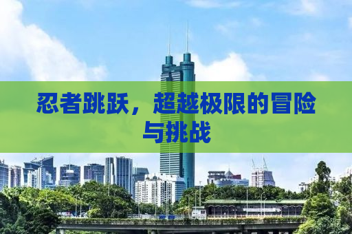 忍者跳跃，超越极限的冒险与挑战