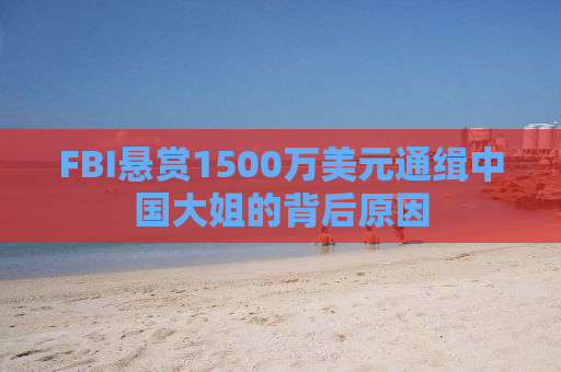 FBI悬赏1500万美元通缉中国大姐的背后原因