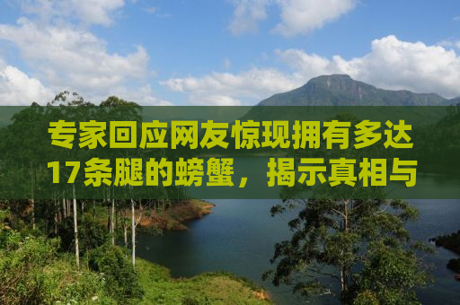 专家回应网友惊现拥有多达17条腿的螃蟹，揭示真相与科普揭秘