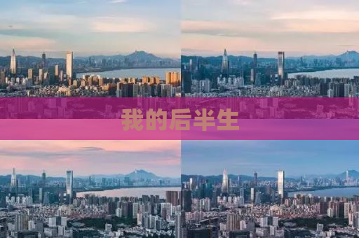 我的后半生