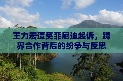王力宏遭英菲尼迪起诉，跨界合作背后的纷争与反思