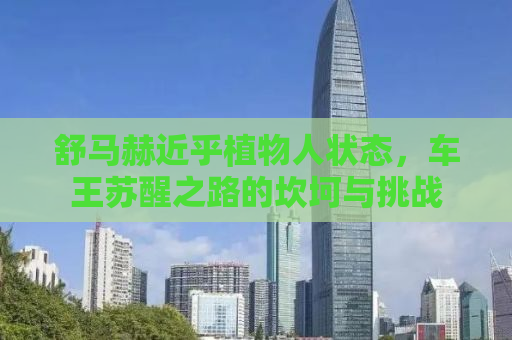 舒马赫近乎植物人状态，车王苏醒之路的坎坷与挑战
