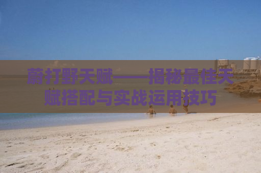 蔚打野天赋——揭秘最佳天赋搭配与实战运用技巧