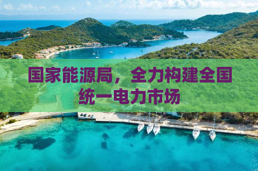 国家能源局，全力构建全国统一电力市场