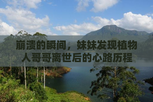 崩溃的瞬间，妹妹发现植物人哥哥离世后的心路历程