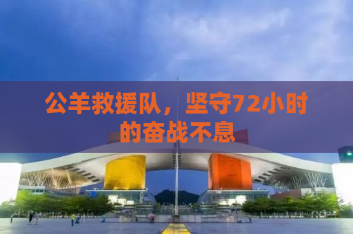 公羊救援队，坚守72小时的奋战不息