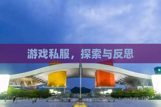 游戏私服，探索与反思