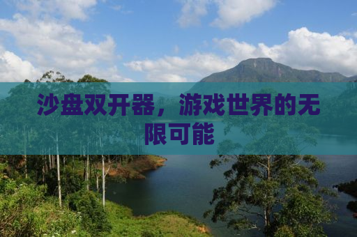 沙盘双开器，游戏世界的无限可能