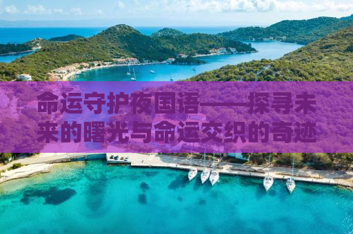 命运守护夜国语——探寻未来的曙光与命运交织的奇迹之夜