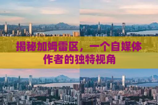 揭秘加姆雷区，一个自媒体作者的独特视角